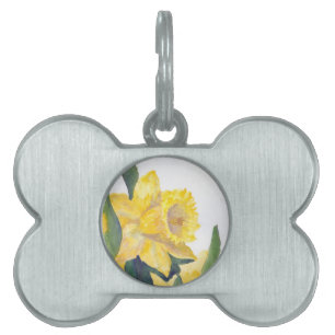 Spring Daffodils Pet Name Tag