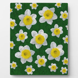 Spring Daffodils Plaque