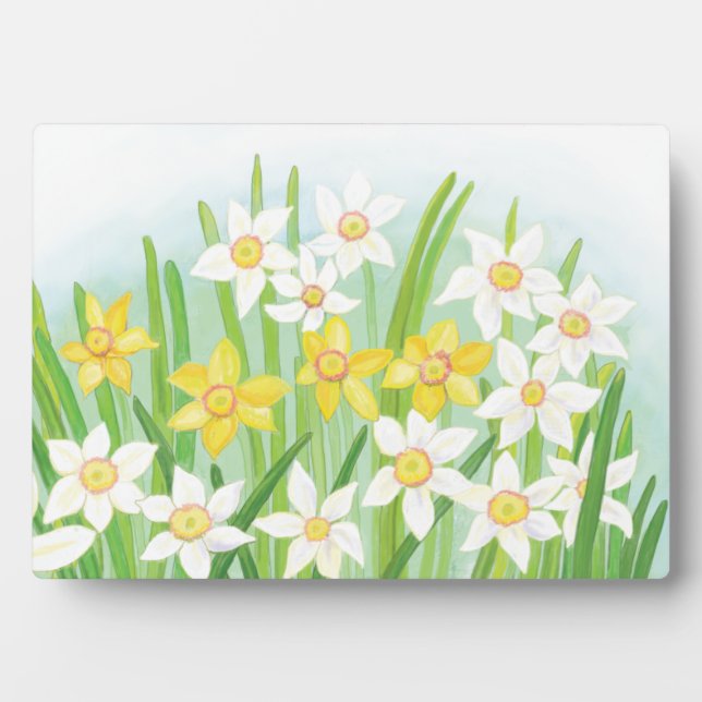 Spring Daffodils  Plaque (Front)