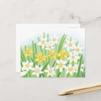 Spring Daffodils
