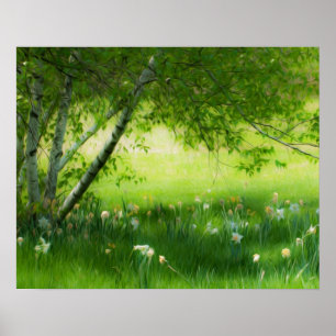 Spring Daffodils Poster