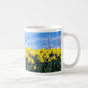 Spring daffodils, Shrewsbury, Shropshire, England Coffee Mug
