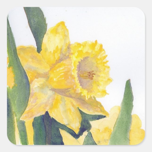 Spring Daffodils Square Sticker (Front)