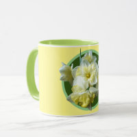 Spring Daffodils White Yellow Narcissus Flowers