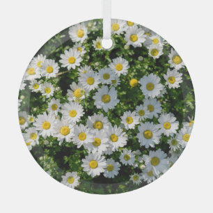 Spring Daisy Field: Serene Background Glass Tree Decoration
