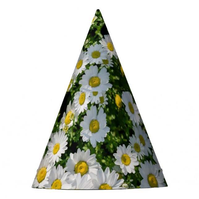 Spring Daisy Field: Serene Background Party Hat (Front)