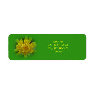 Spring dandelion flower, green labels
