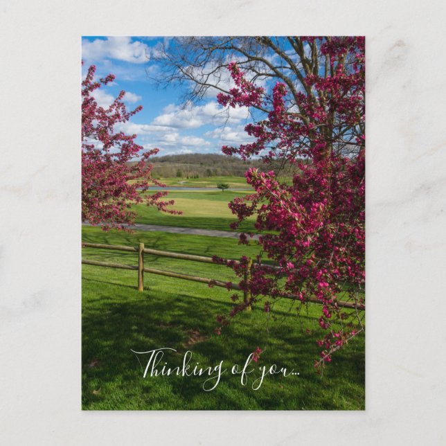 Spring Day In Rivercut Thinking Of You Postcard (Front)