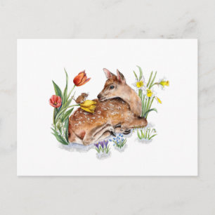 Spring Deer Postcard