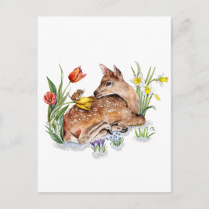 Spring Deer Postcard
