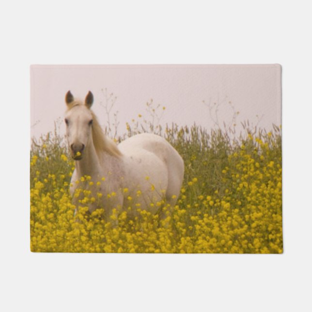 Spring Doormat (Front)