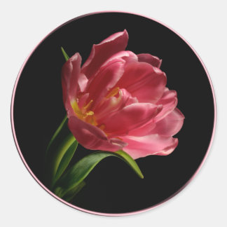 Spring Double Bloom Tulip Envelope Seal Sticker