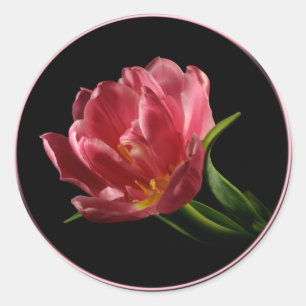 Spring Double Bloom Tulip Envelope Seal Sticker