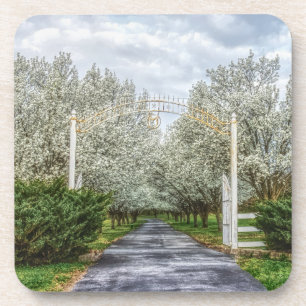Spring Drive Home Coaster