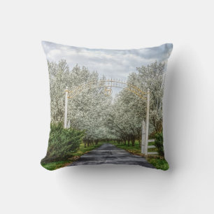 Spring Drive Home Cushion