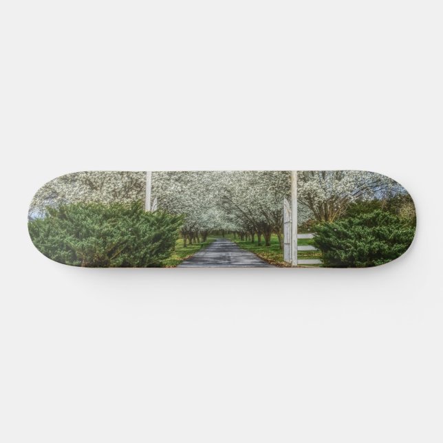 Spring Drive Home Skateboard (Horz)