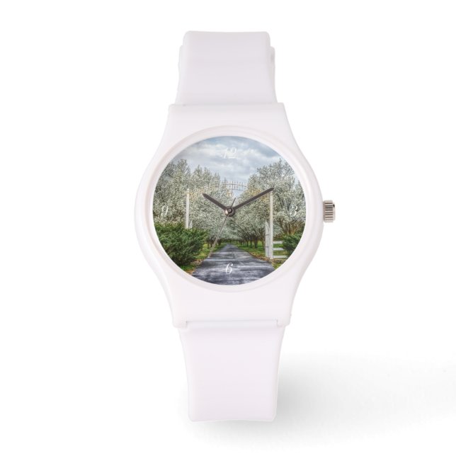 Spring Drive Home Watch (Front)