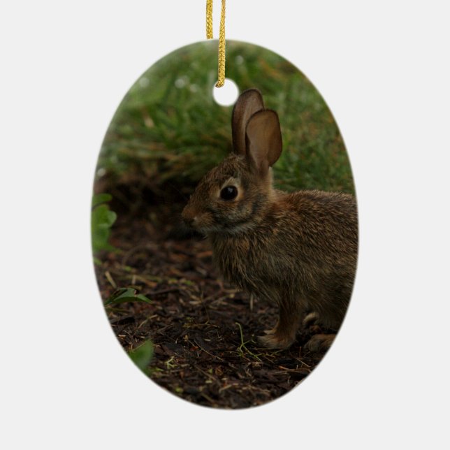 Spring/Easter: Chick, Rabbit Ceramic Tree Decoration (Back)