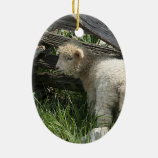 Spring/Easter: Two lambs same grass, One by fence Ceramic Tree Decoration