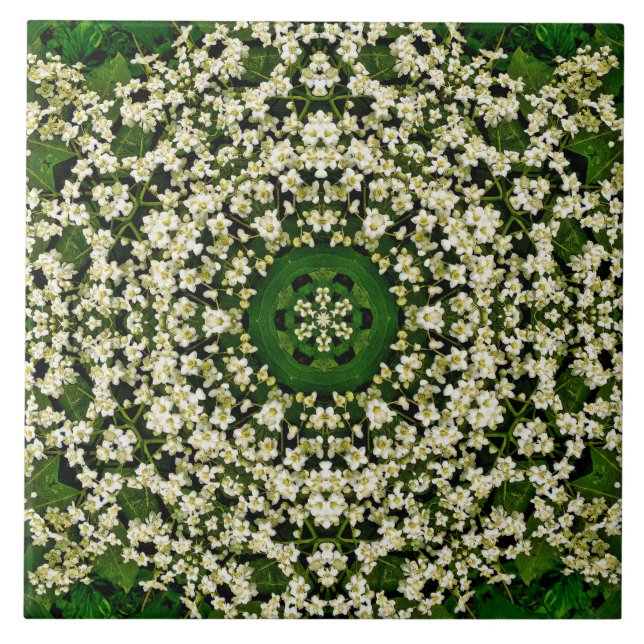 Spring Elderberry Flowers Ceramic Tile (Front)