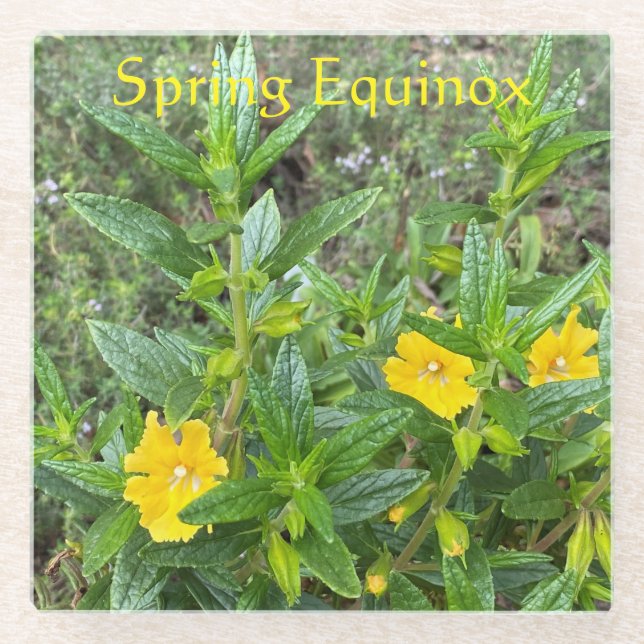 Spring Equinox Glass Coaster (Front)