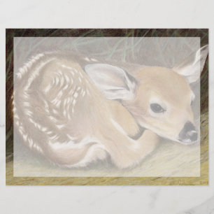 Spring Fawn