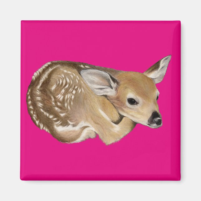 Spring Fawn Magnet (Front)