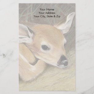 Spring Fawn Stationery