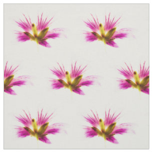 Spring Feather Flowers Fabric