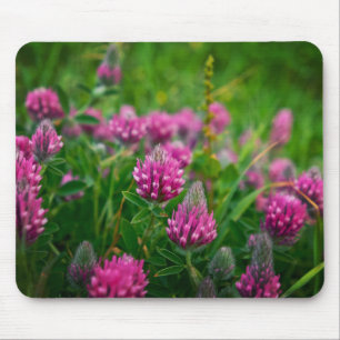 Spring Field Mouse Pad