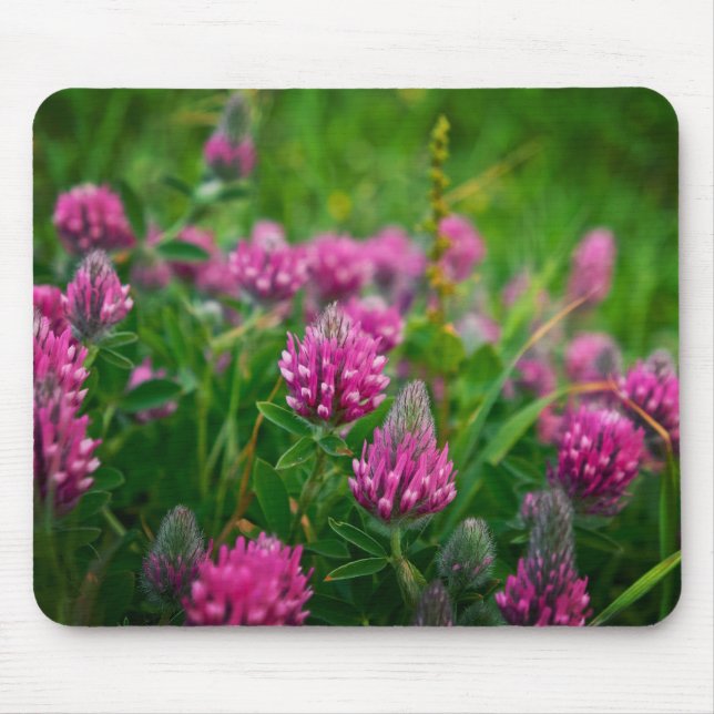 Spring Field Mouse Pad (Front)