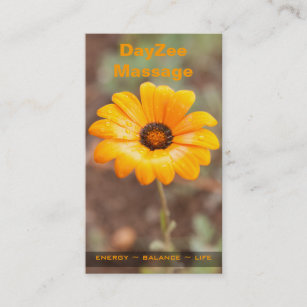 Spring Flash African Daisy Photo Appointment Card