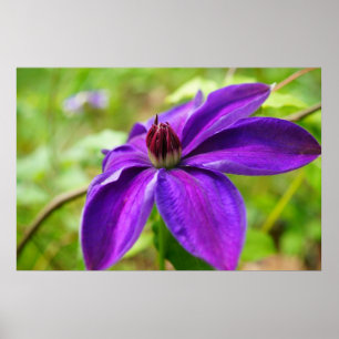 Spring Fling! Poster