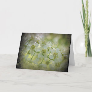 Spring Floral Card