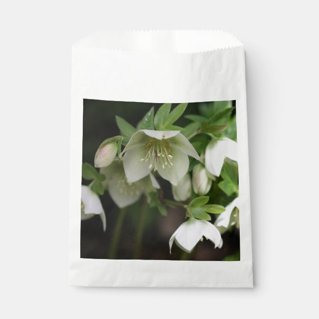 Spring Floral Favour Bags (Front)