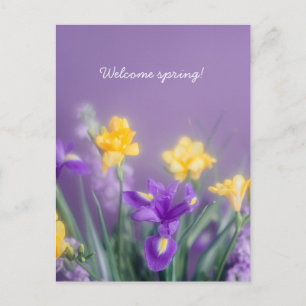 Spring Floral Greeting, pastel aesthetic Postcard