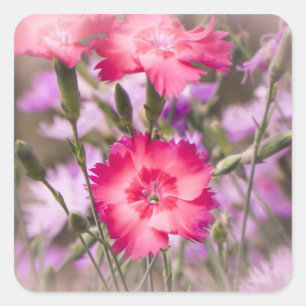 Spring Floral Square Sticker