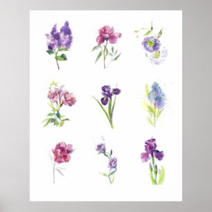 Spring Floral Study Watercolor Wall Art