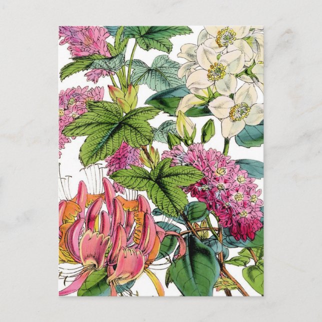 Spring Florals Postcard (Front)