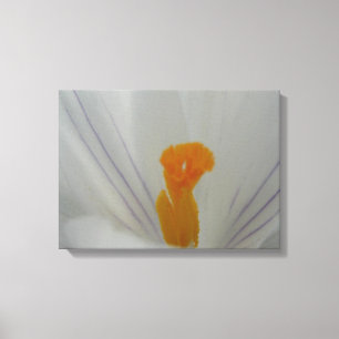 Spring Flower Canvas Print