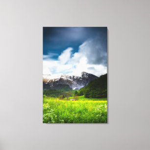 Spring flower field under mountain Krn Canvas Print