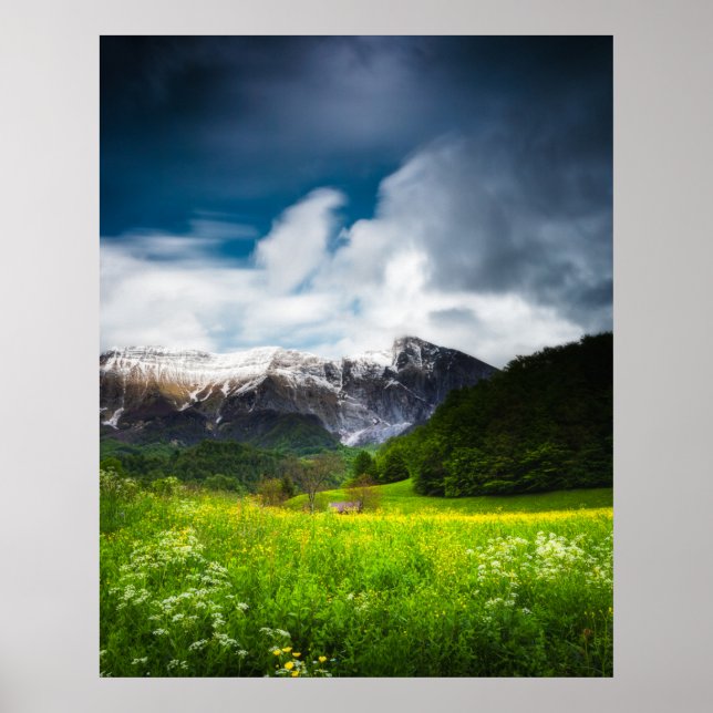 Spring flower field under mountain Krn Poster (Front)