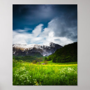 Spring flower field under mountain Krn Poster