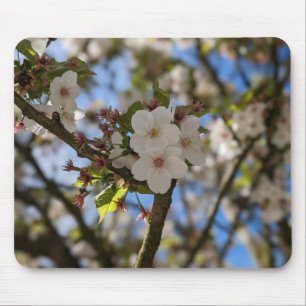 Spring Flower Mouse Pad