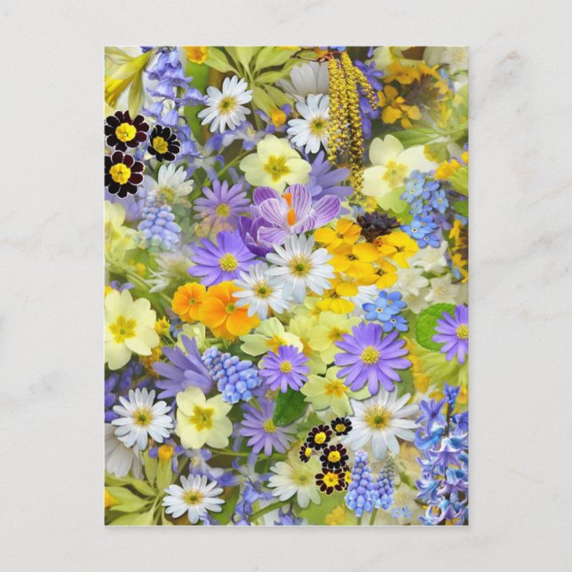 Spring Flower Selection Postcard (Front)