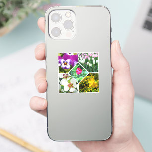 Spring Flowers
