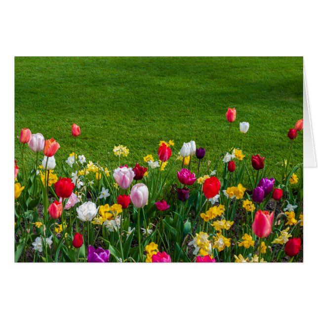 Spring flowers (Front Horizontal)