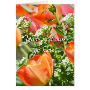 Spring Flowers