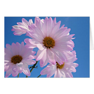 Spring Flowers
