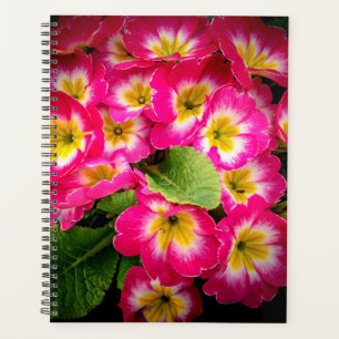 Spring Flowers 2024 Planner